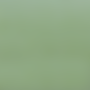 101499_COLOR_499_aab66bed-6505-4a0e-9b93-e2f01b0d0a0c-1 ZAO Makeup - Organic Concealer - Glow Organic