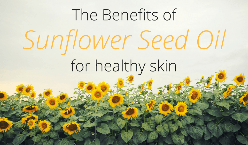 The Benefits of Sunflower Seed Oil for Healthy Skin