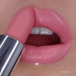 lip-swatch-ls024-velvet-rose-1